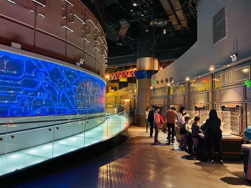 科技館新春啟航 機器人、飛行與信息譯站共慶牛年